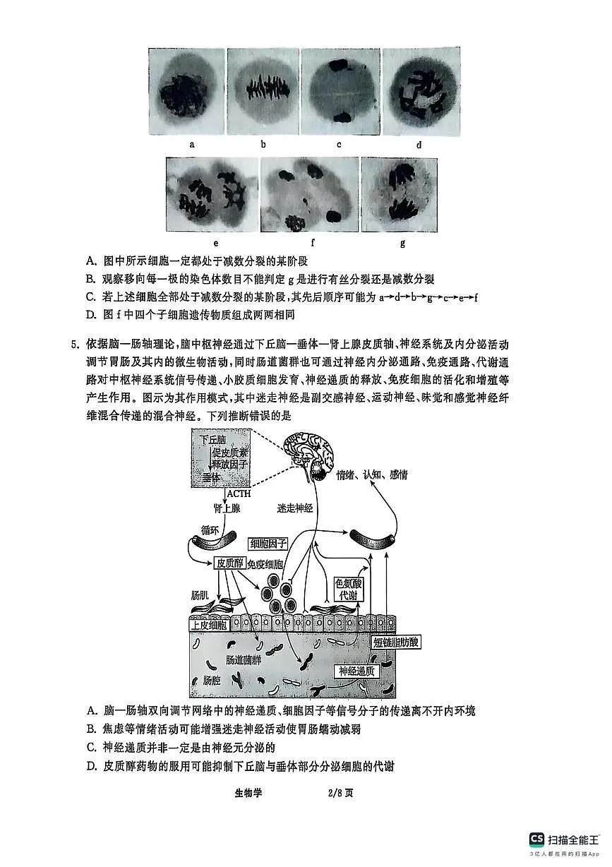 2025届河北省秦皇岛市昌黎第一中学高三下学期考前最后一卷生物学试题（扫描版，含答案）第2页