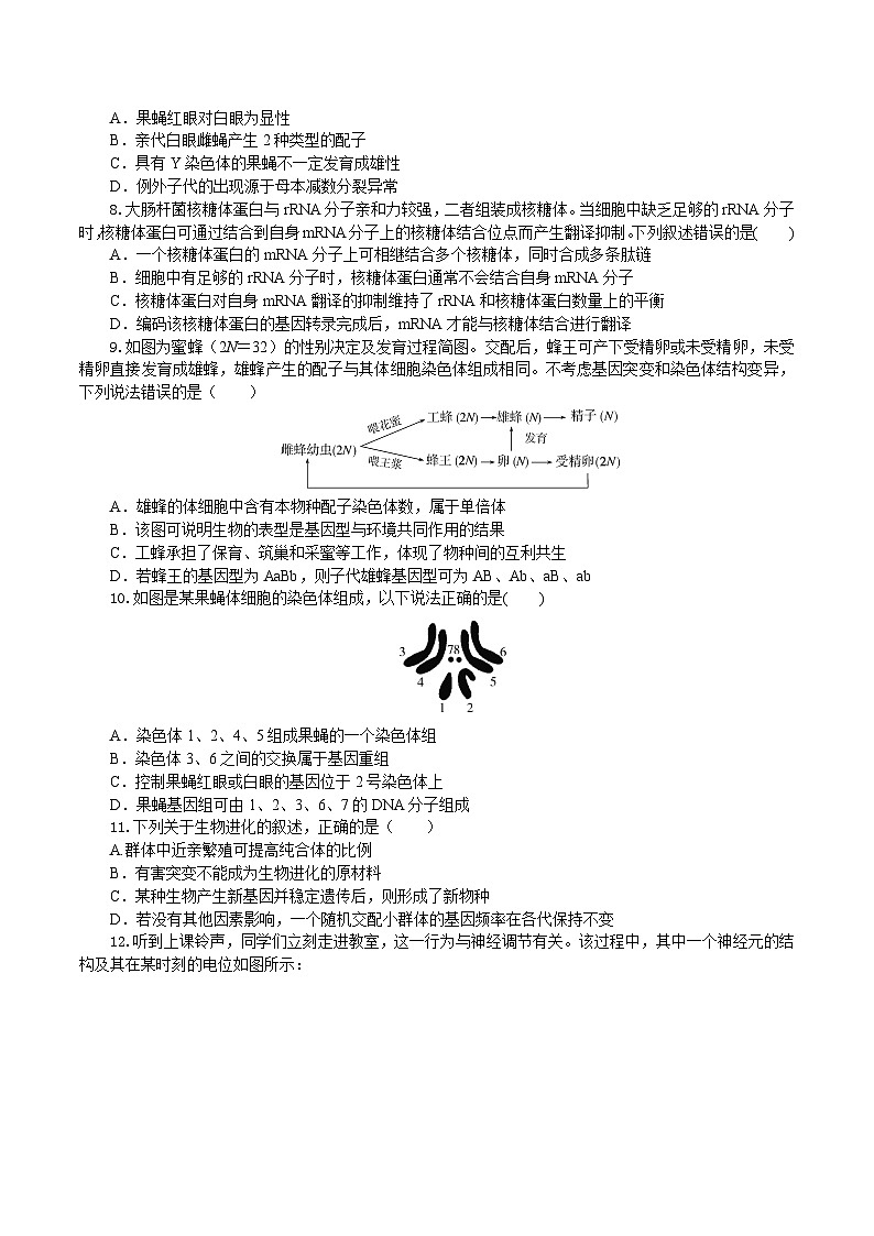 湖北省襄阳市、随州市八校2025届高三下学期三模生物试卷（Word版附答案）第3页