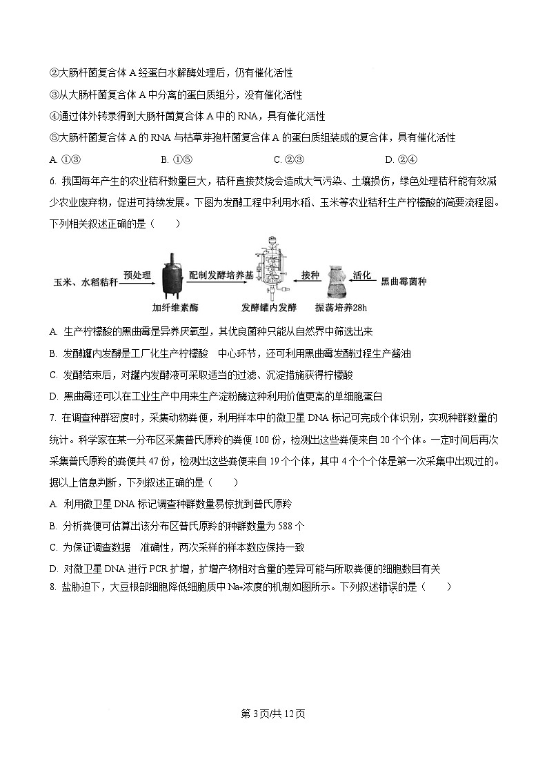 湖南师范大学附属中学2025届高三下学期模拟卷（二）生物试题（原卷版）第3页