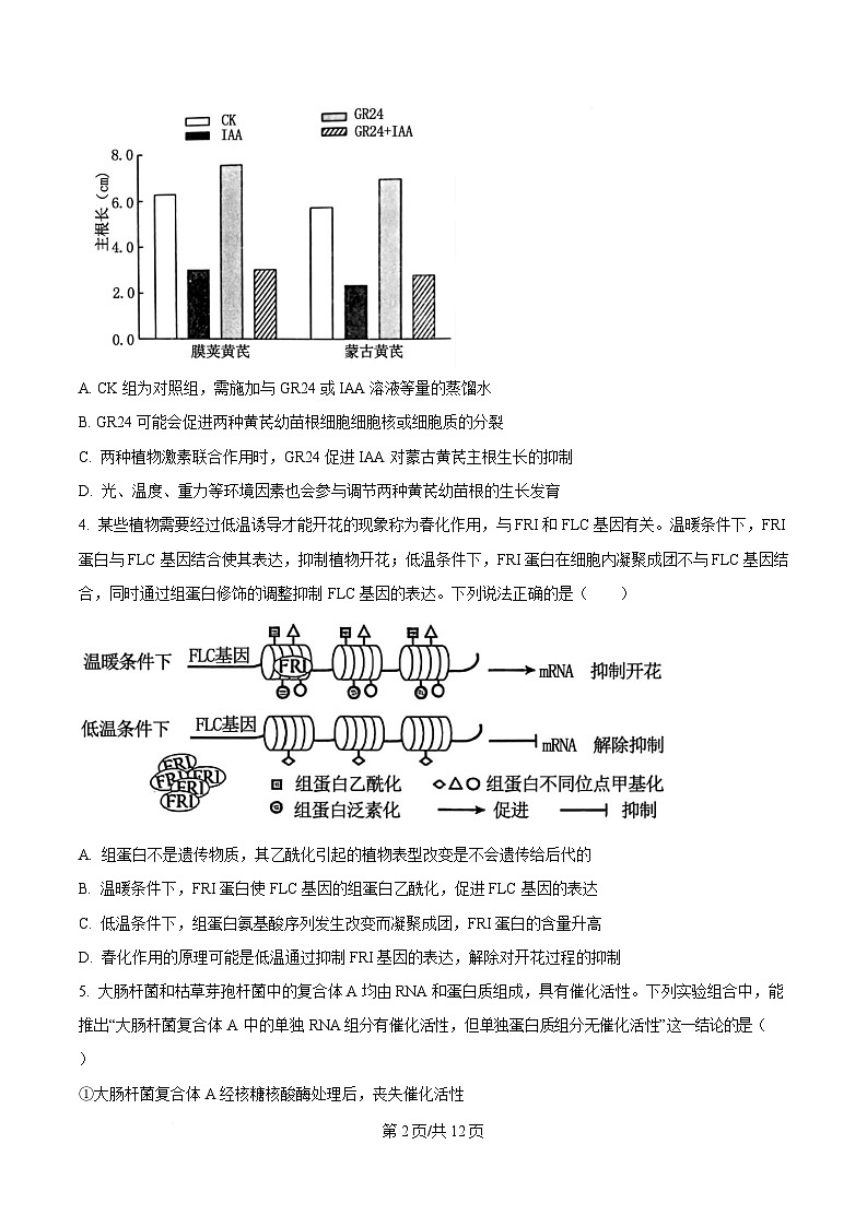湖南师范大学附属中学2025届高三下学期模拟卷（二）生物试题（原卷版）第2页