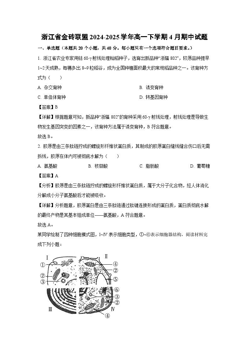 生物：浙江省金砖联盟2024-2025学年高一下学期4月期中试题（解析版）第1页