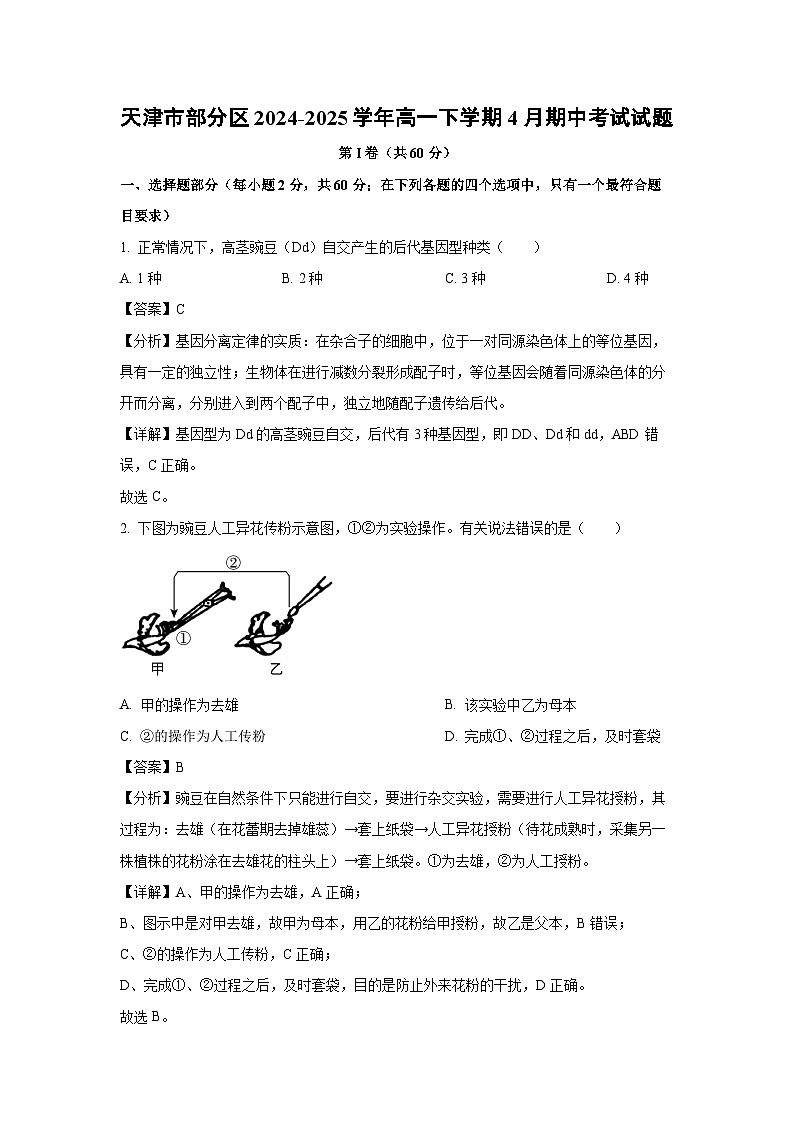 生物：天津市部分区2024-2025学年高一下学期4月期中考试试题（解析版）第1页