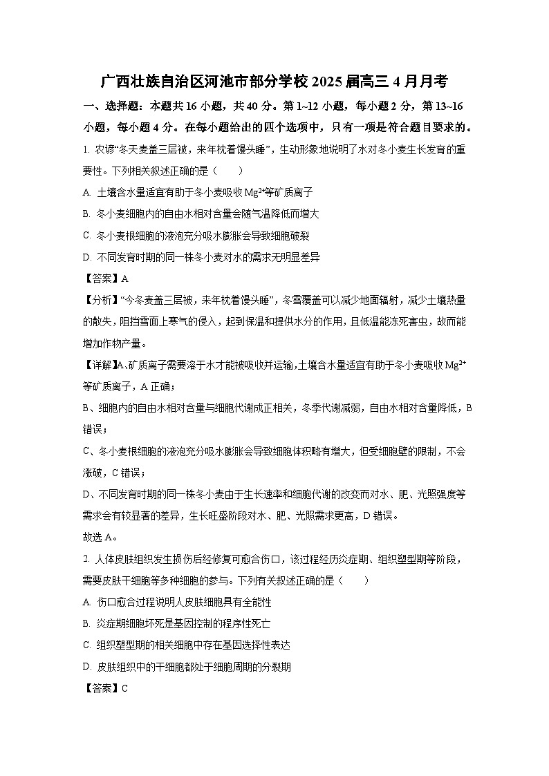 生物：广西壮族自治区河池市部分学校2025届高三4月月考试卷（解析版）第1页