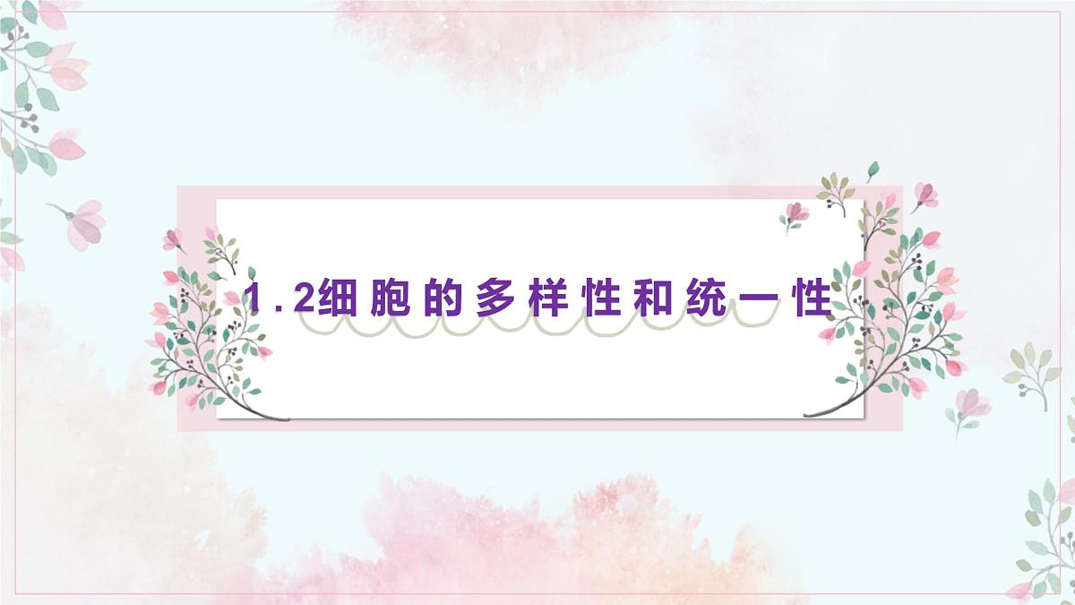 1.2《细胞的多样性和统一性》课件 PPT第3页