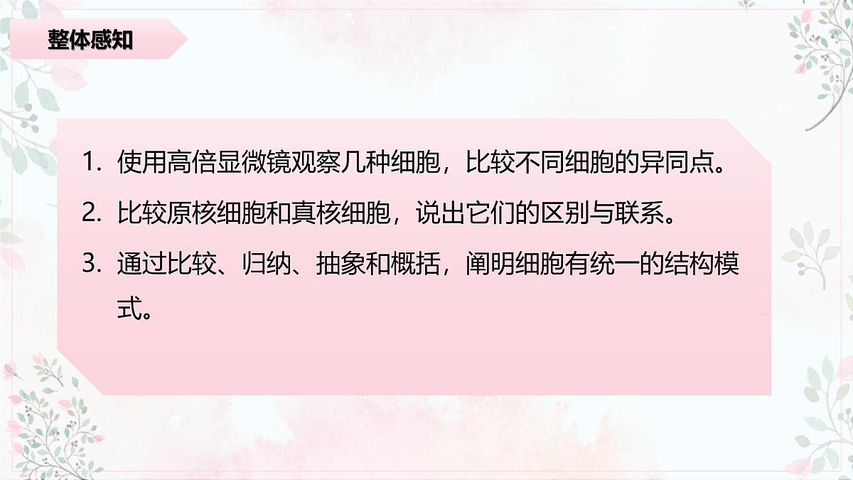 1.2《细胞的多样性和统一性》课件 PPT第4页