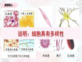 1.2《细胞的多样性和统一性》课件 PPT