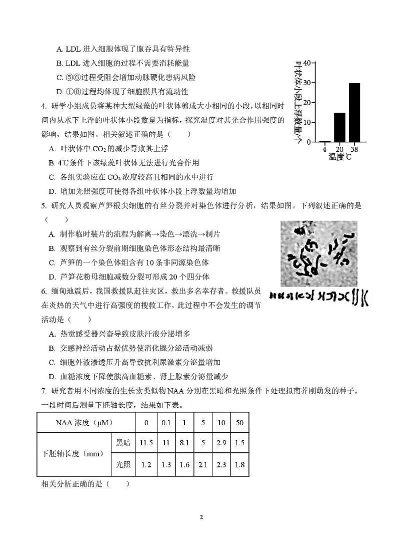 2025届福建省厦门第一中学高三下学期5月模拟考试生物试题（高考模拟）第2页