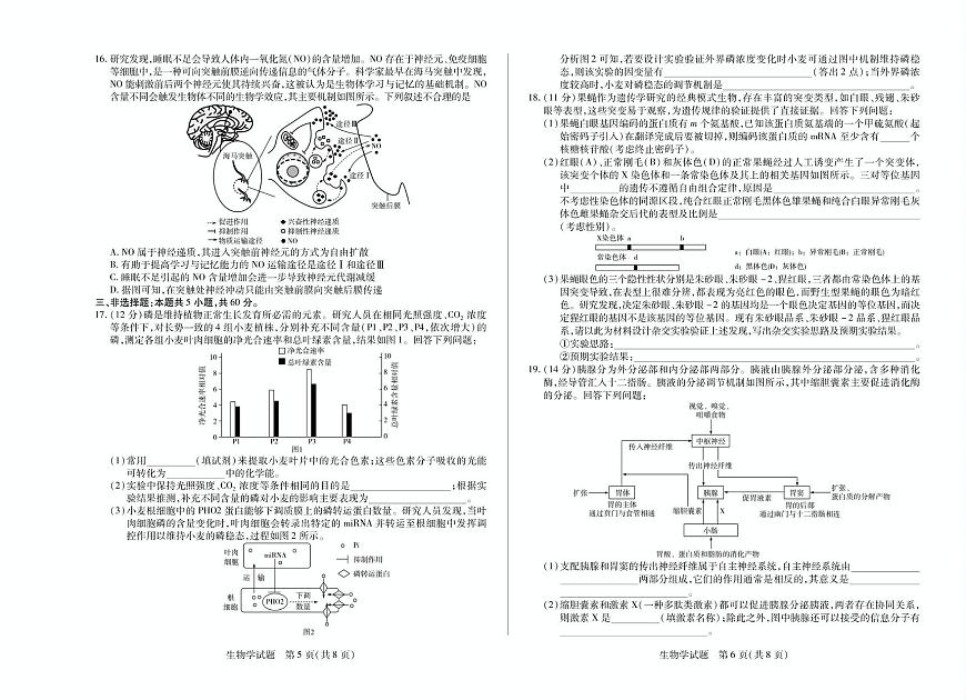 2025届湖南省天一大联考高三下学期5月最后一卷生物试题（高考模拟）第3页