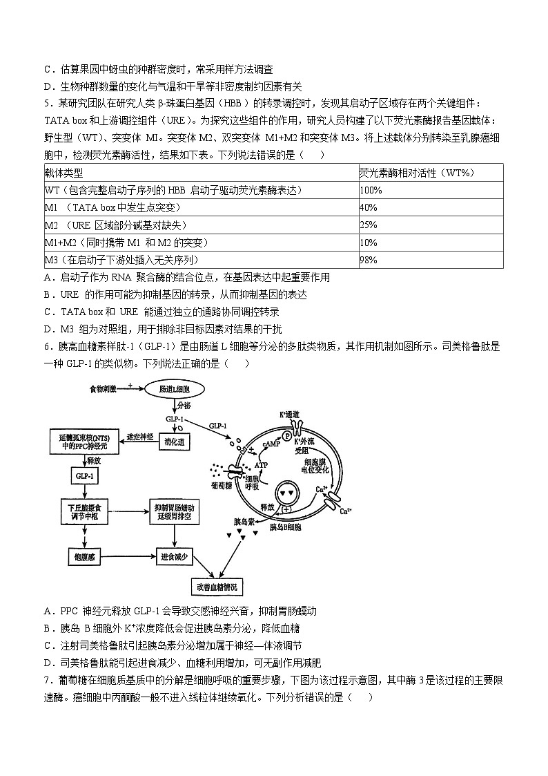2025届重庆市育才中学高三全真模拟考试生物试卷（高考模拟）第2页