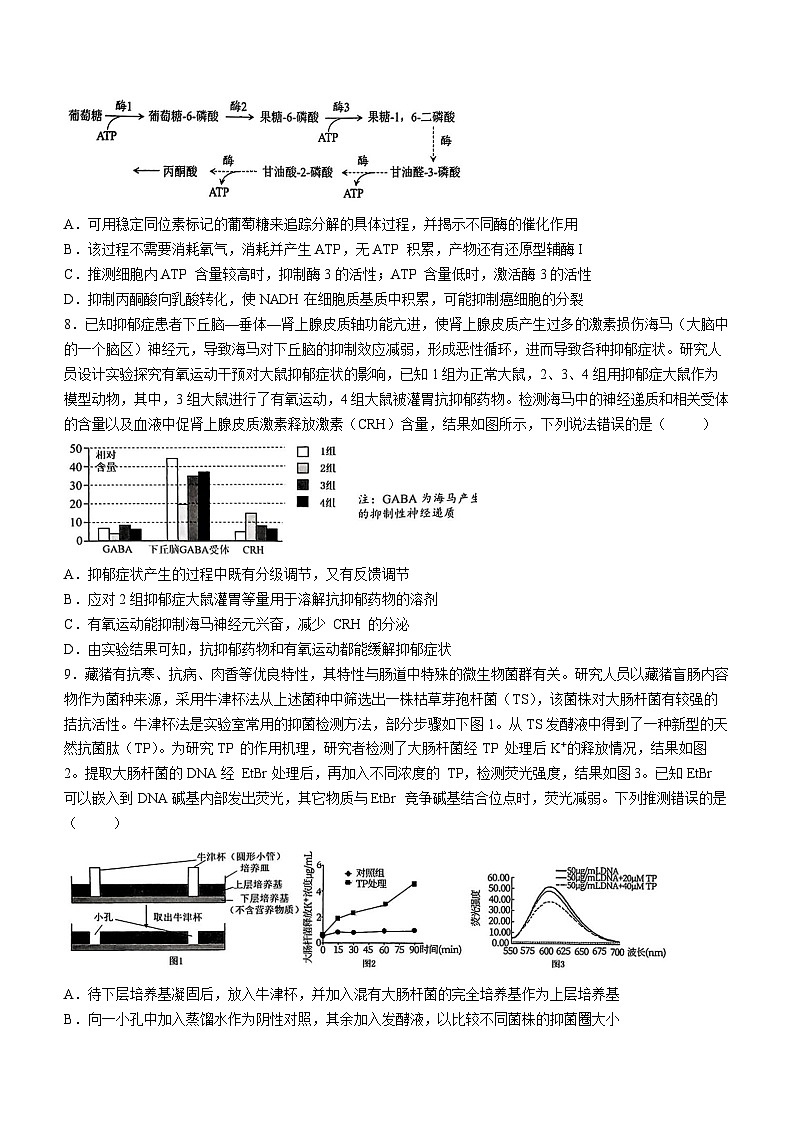2025届重庆市育才中学高三全真模拟考试生物试卷（高考模拟）第3页