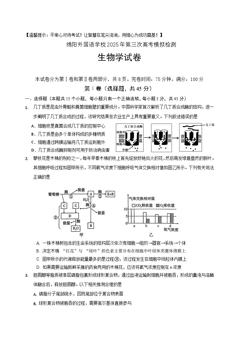 四川省绵阳外国语学校2025届高三下学期第三次模拟考试生物试题（高考模拟）第1页