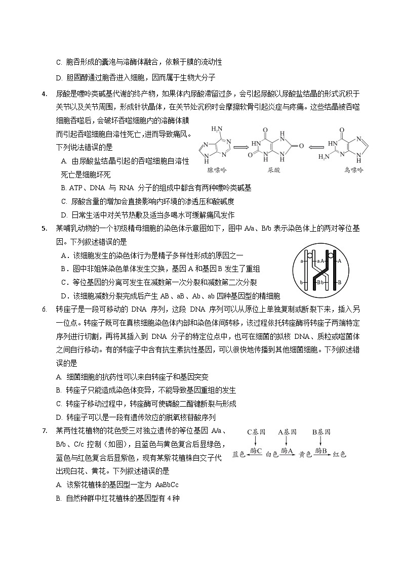四川省绵阳外国语学校2025届高三下学期第三次模拟考试生物试题（高考模拟）第2页