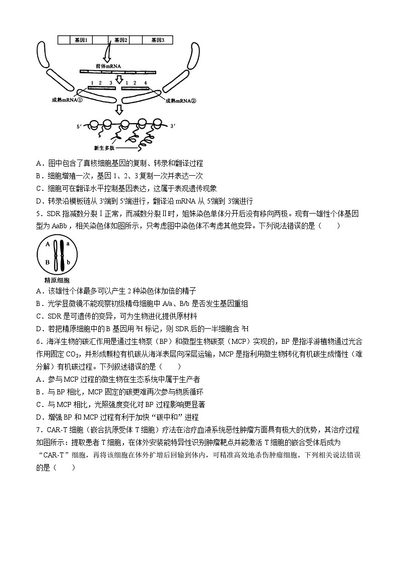 吉林省长春市东北师范大学附属中学2024-2025学年高三下学期第五次模拟考试生物试题（高考模拟）第2页