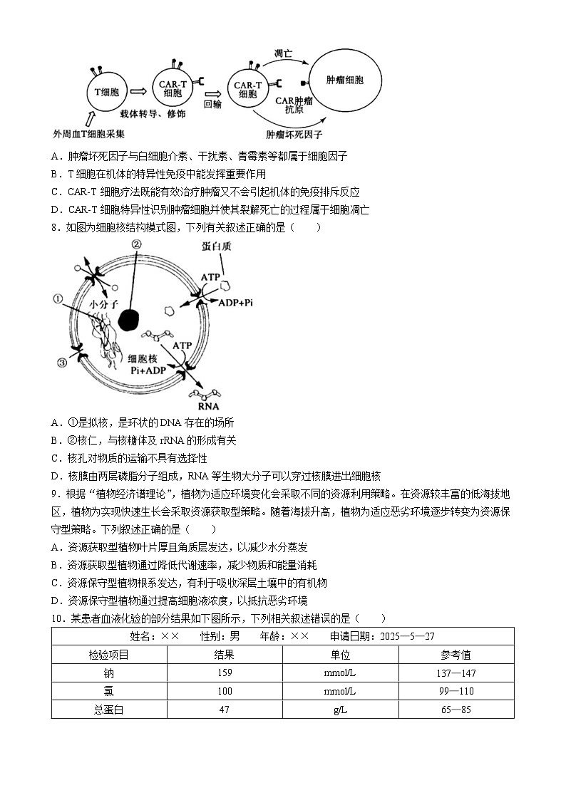 吉林省长春市东北师范大学附属中学2024-2025学年高三下学期第五次模拟考试生物试题（高考模拟）第3页