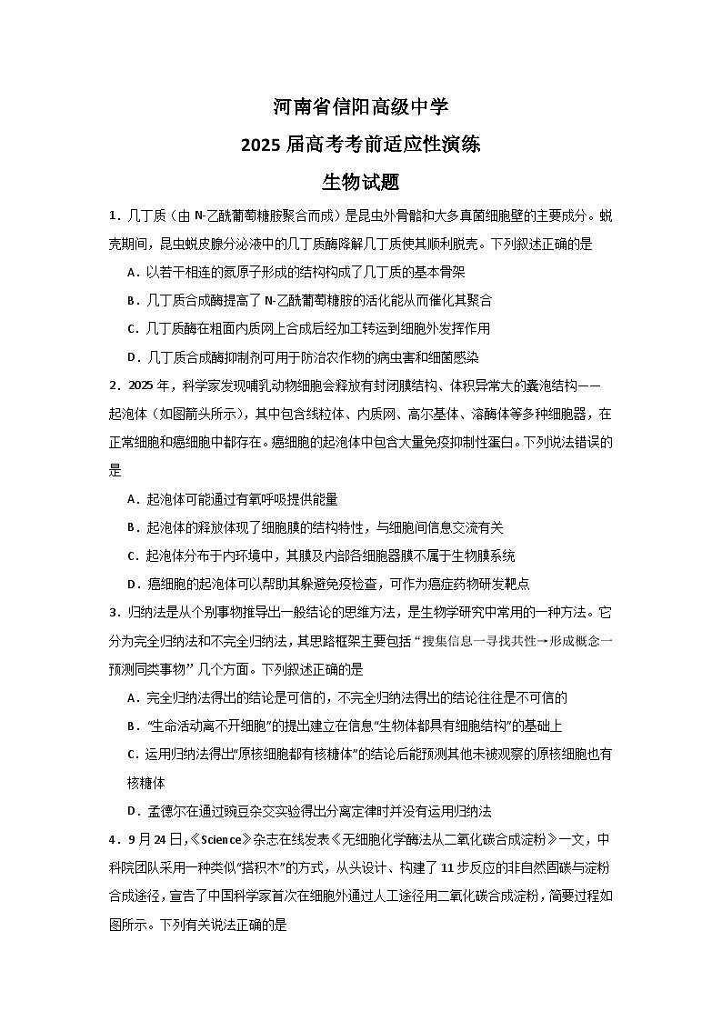 2025届河南省信阳市浉河区信阳高级中学高三下学期高考考前适应性演练生物试题第1页