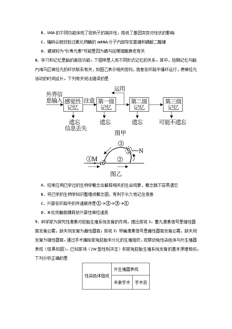 2025届河南省信阳市浉河区信阳高级中学高三下学期高考考前适应性演练生物试题第3页