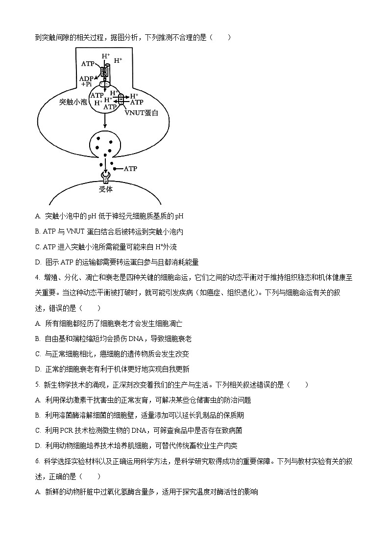 2025届山西省晋中市高三适应训练考试生物学试卷第2页