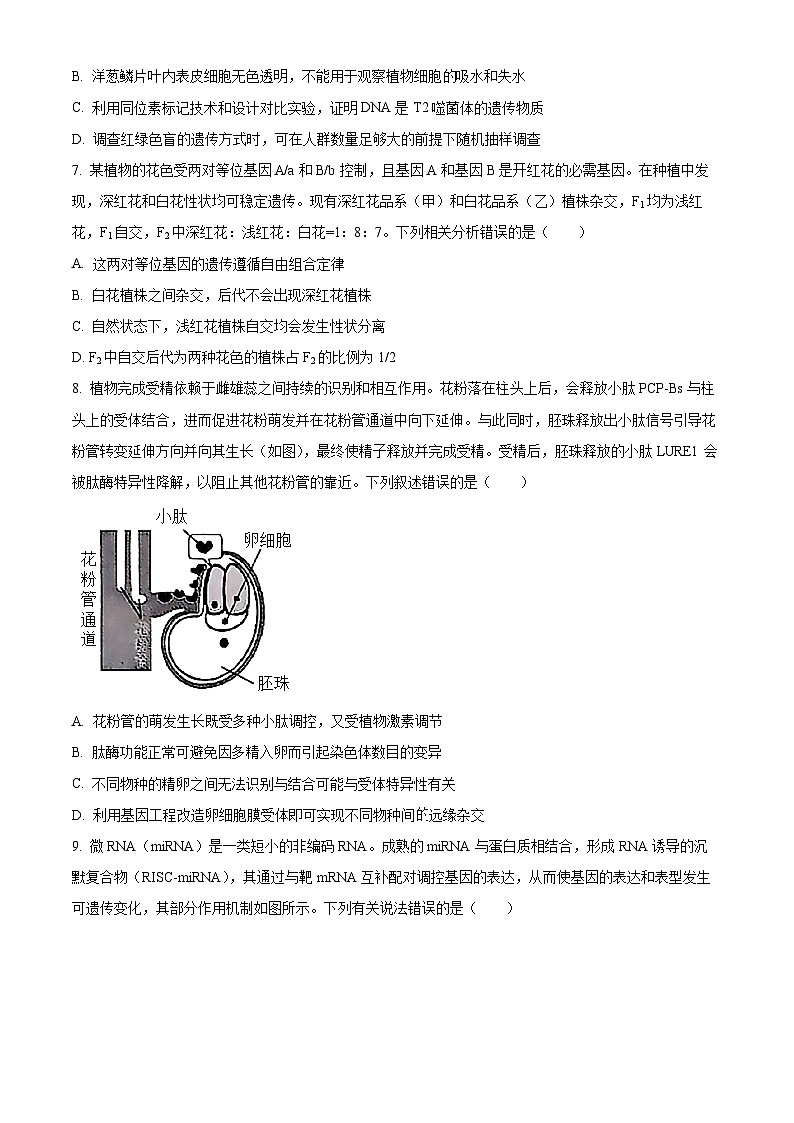 2025届山西省晋中市高三适应训练考试生物学试卷第3页