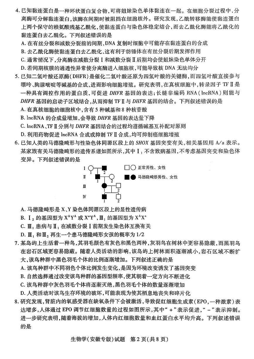 2025年安徽省合肥市第六中学普通高中学业水平选择性考试预测生物试题第2页
