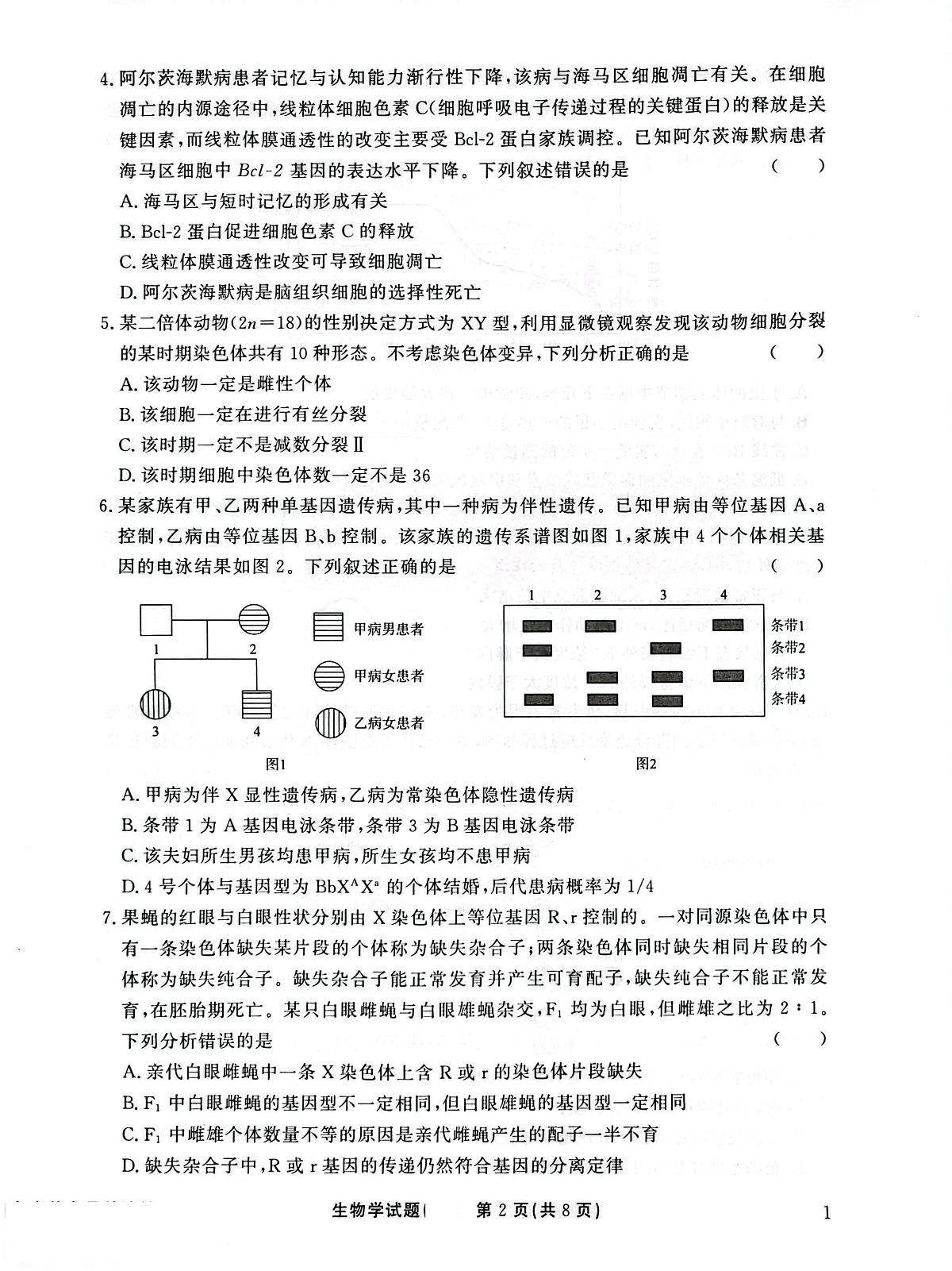 高三生物试卷第2页