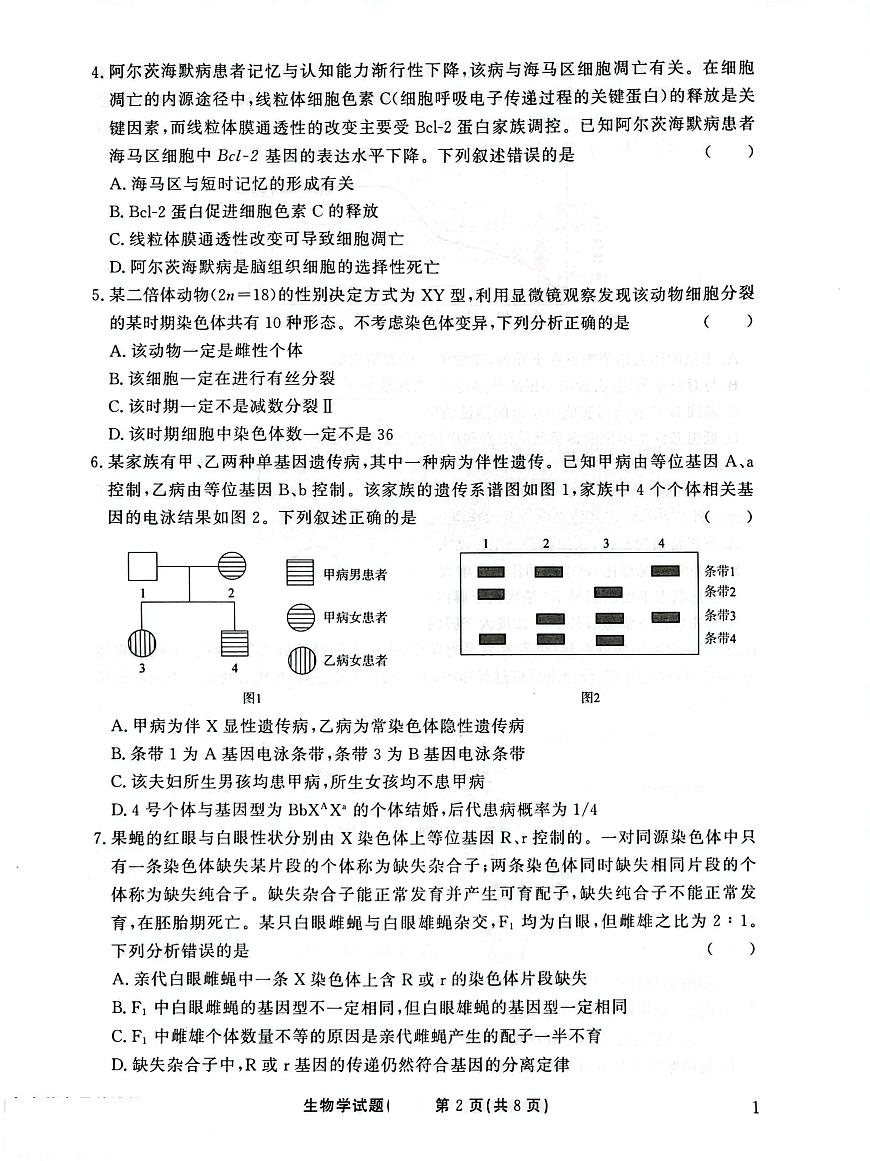 高三生物试卷第2页