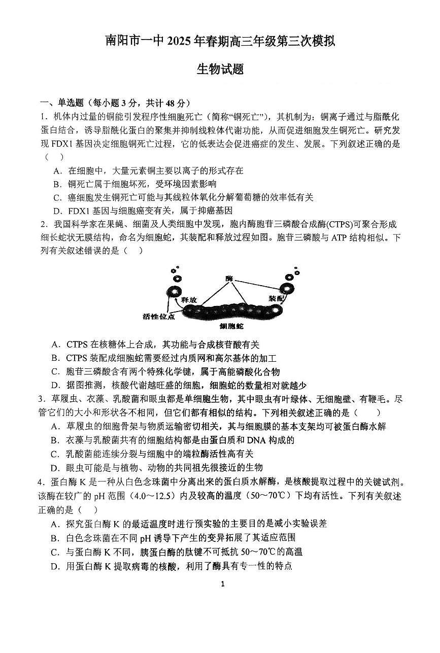 河南省南阳市第一中学2025届高三下学期三模考试生物试题（PDF版附答案）第1页