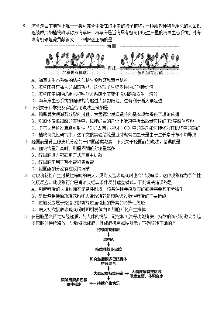 黄石二中2025届高三下学期适应性考试（二）生物第3页