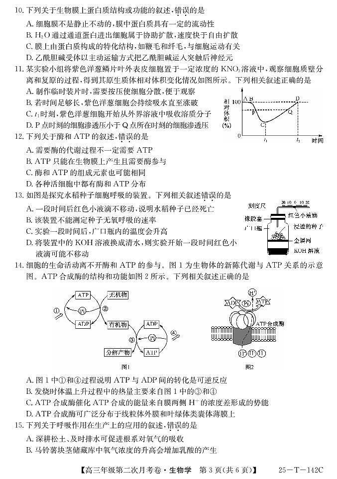 贵州省黔西南布依族苗族自治州兴义市顶效开发区顶兴学校2024-2025学年高三上学期第二次月考生物试题第3页