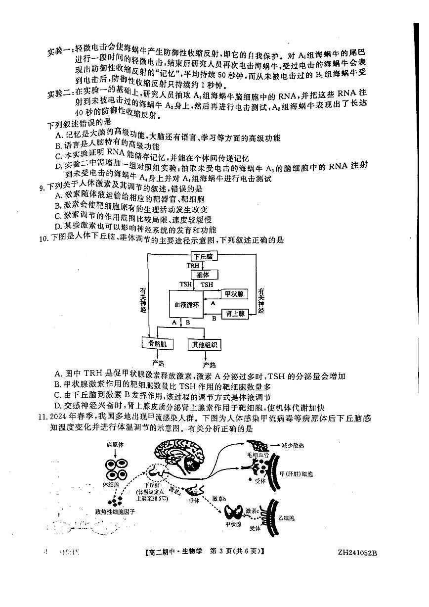 贵州省铜仁市思南县2024-2025学年高二上学期期中测试生物试题第3页