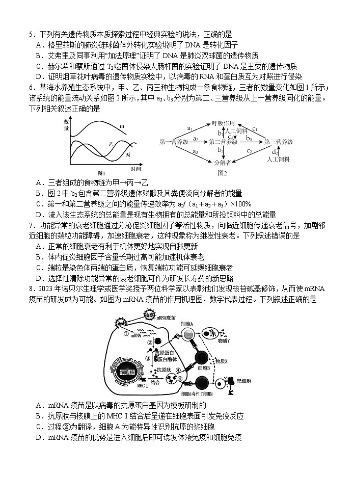 广西南宁三中2025届三下学期5月二模生物试题（Word版附解析）第3页