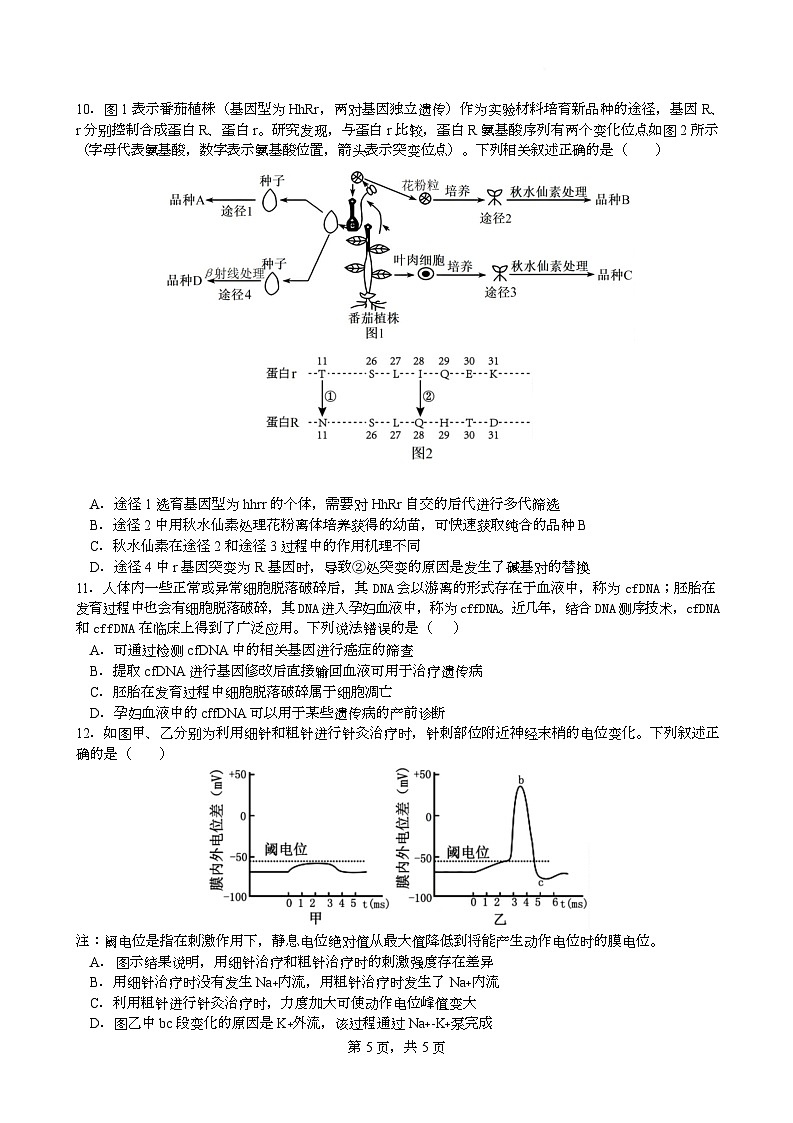 2025届湖北省襄阳市第五中学高三下学期5月适应性考试（三）生物试卷第3页
