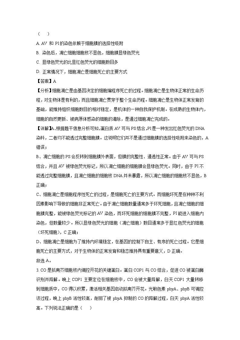 生物：山东省名校考试联盟2025届高三4月模拟（解析版）第2页