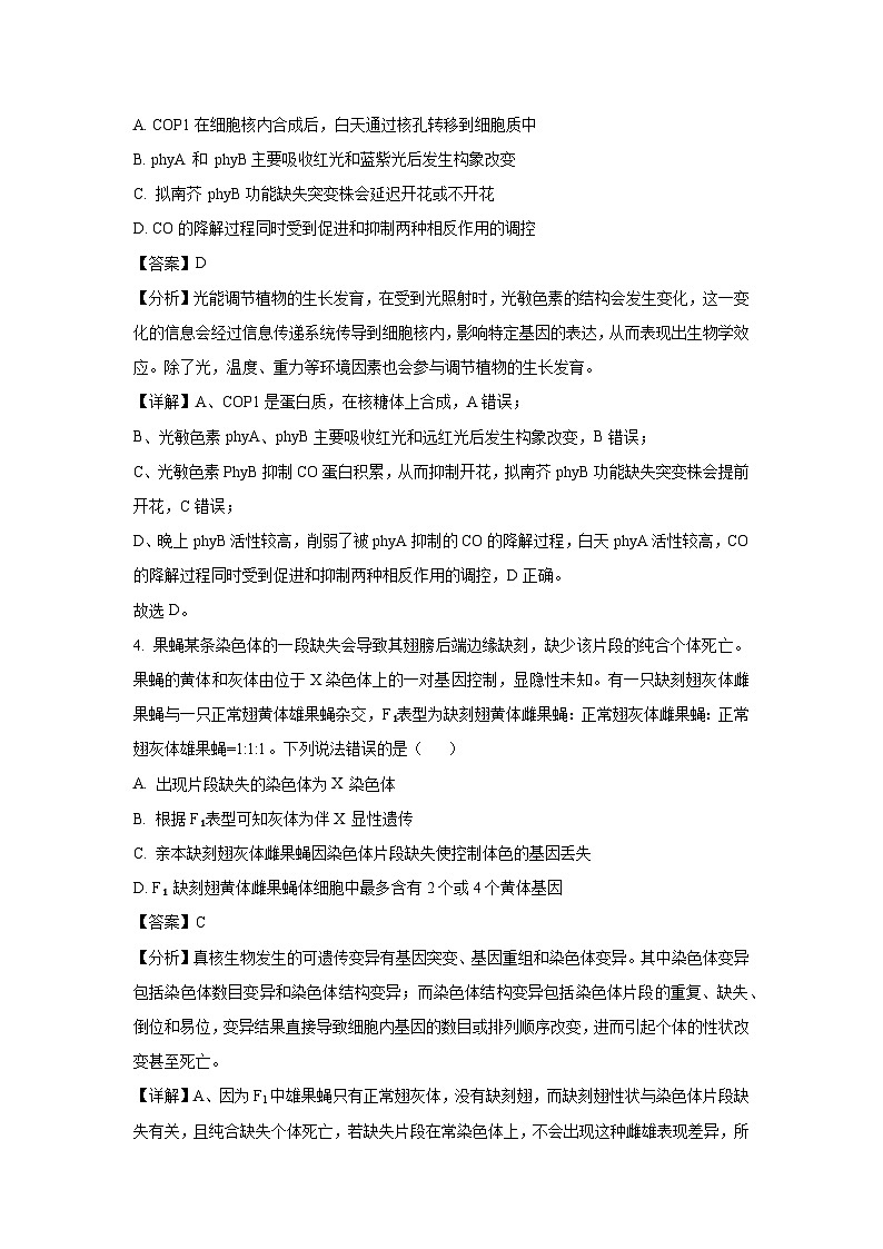 生物：山东省名校考试联盟2025届高三4月模拟（解析版）第3页