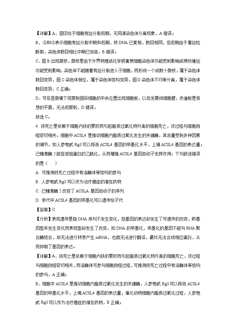 生物：广东省广州市越秀区2025届高三2月统测（解析版）第3页