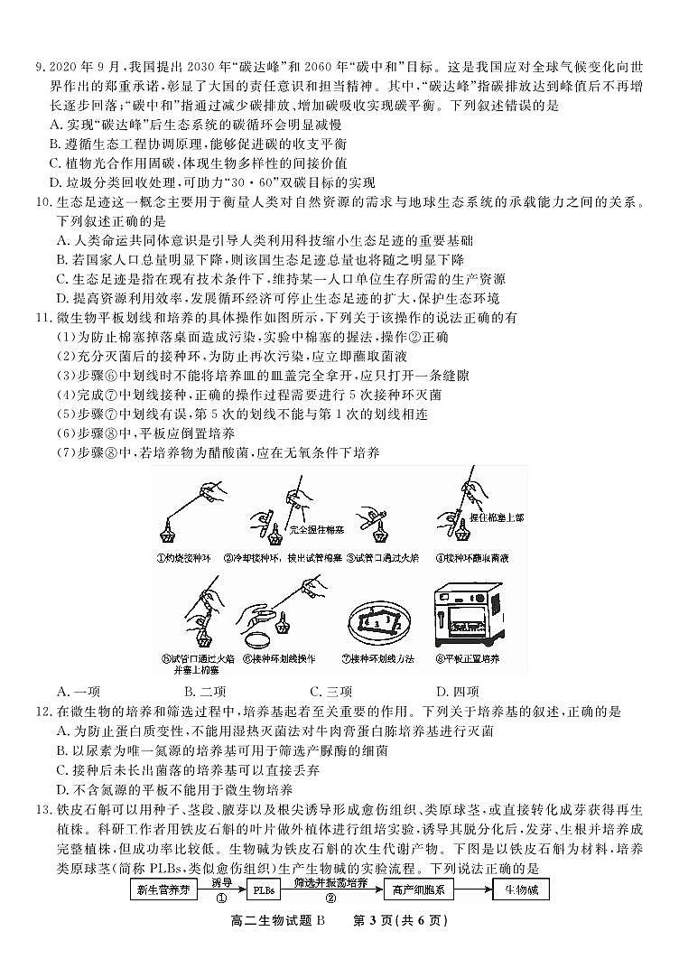 生物试题B·2025年5月高二阶段考第3页