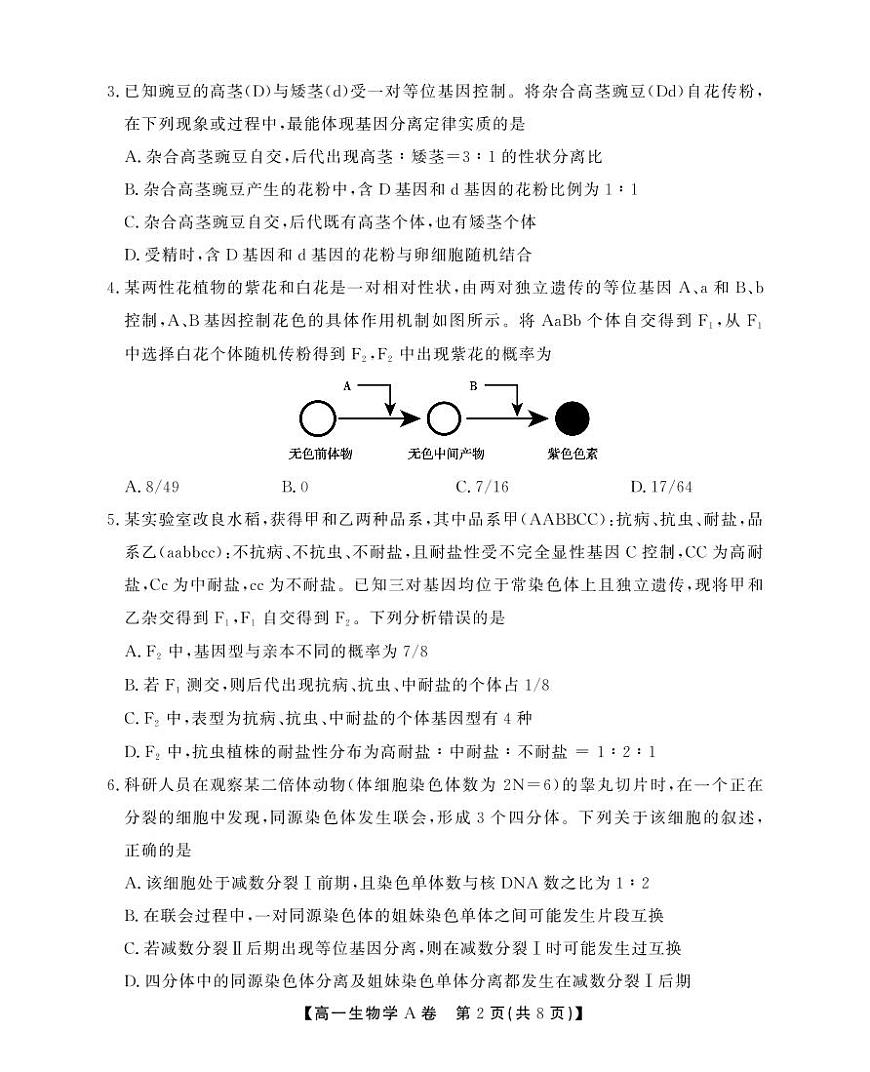 安徽省鼎尖名校高一5月阶段性检测生物学A卷(SY)第2页