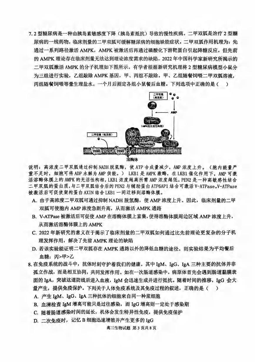 生物丨安徽省师范大学附属中学2025届高三下学期5月模拟预测试卷及答案第3页