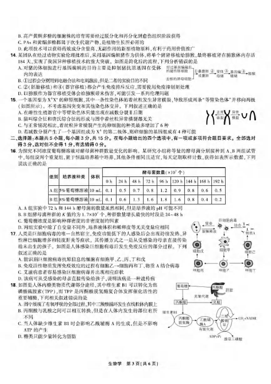 生物丨东北三省精准教学联盟2025届高三5月联考（理想树）试卷及答案第3页