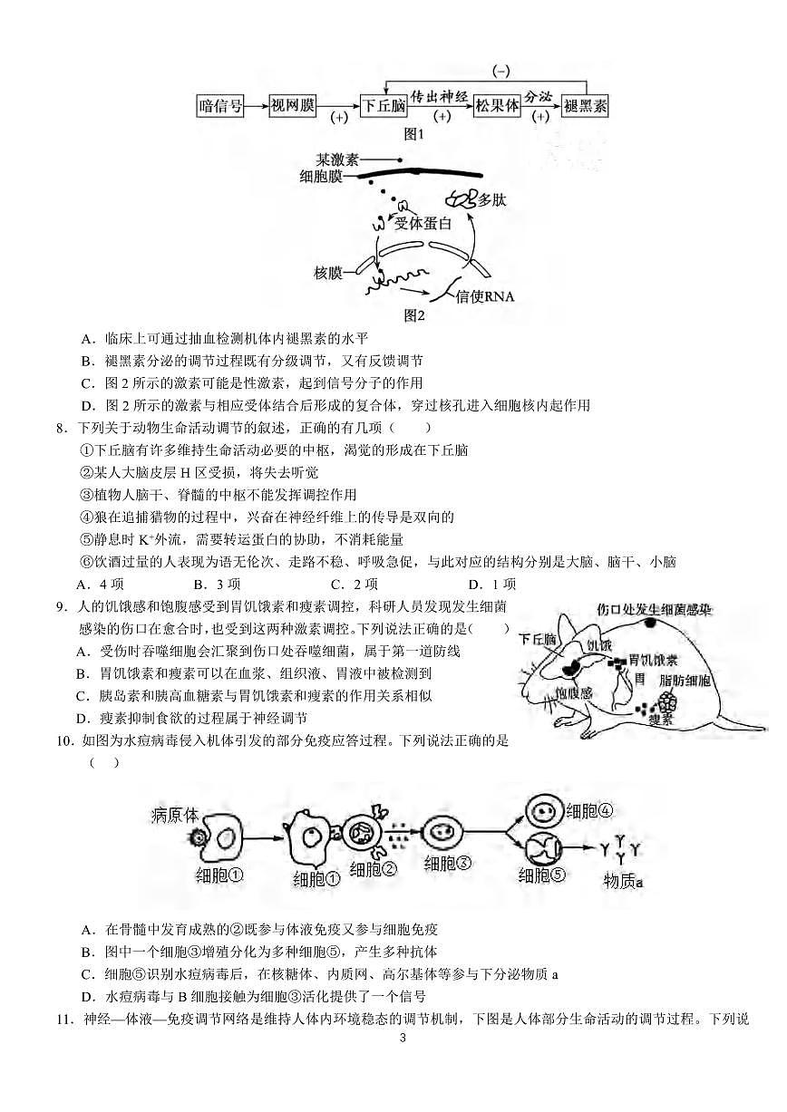 生物丨湖北省沙市中学2025届高三下学期5月高考模拟预测试卷及答案第3页