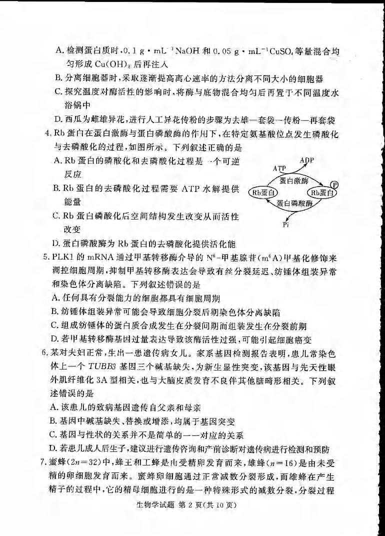生物丨湘豫名校联考2025届高三下学期5月第四次模拟考试试卷及答案第2页