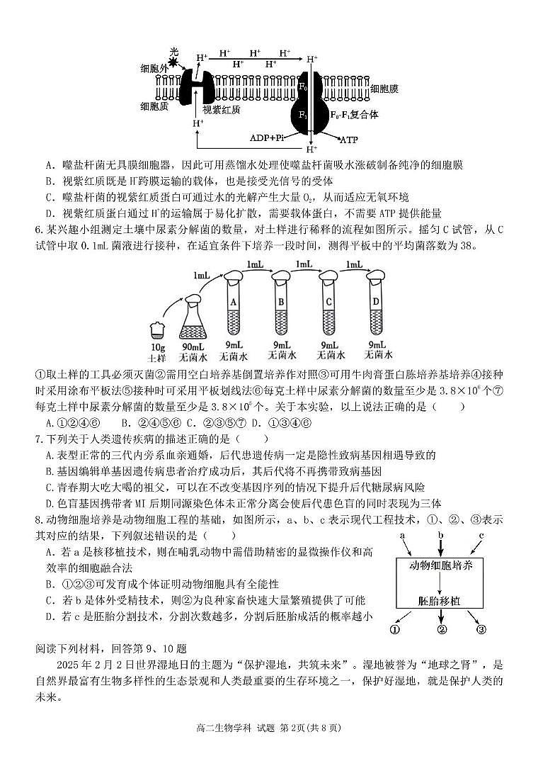 浙江省金华市卓越联盟2024-2025学年高二下学期5月阶段性联考生物试卷（PDF版附答案）第2页