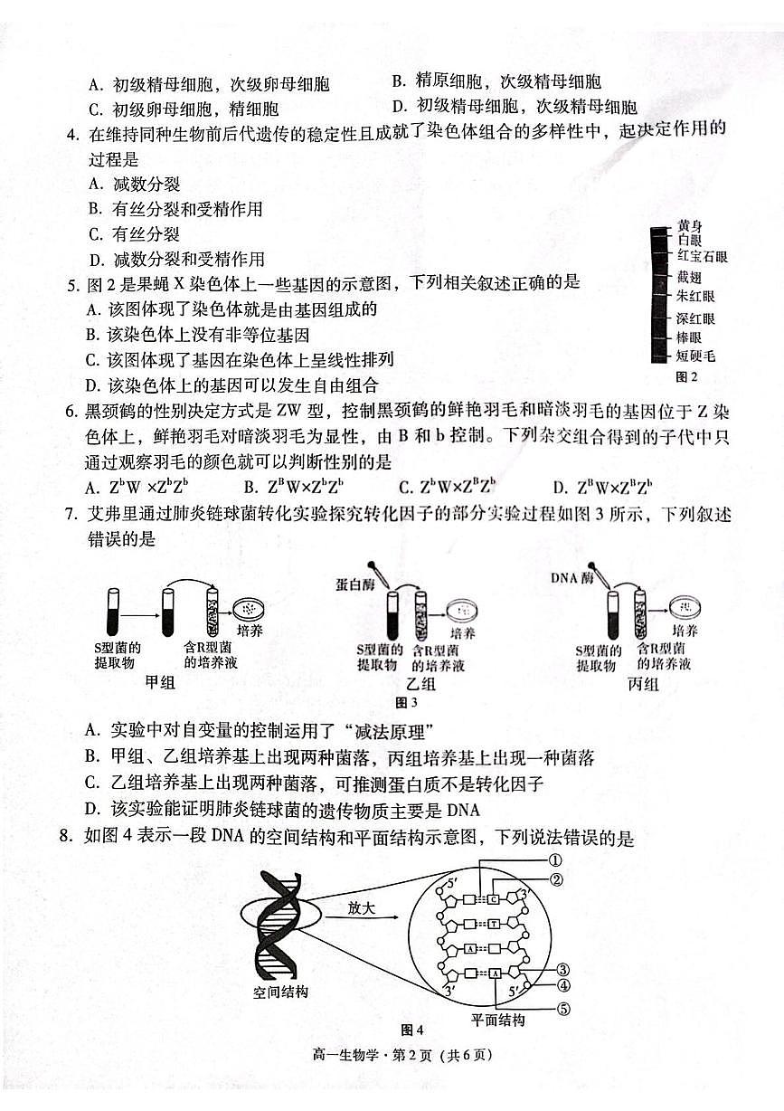 贵州省贵阳市七校2024-2025学年高一下学期5月月考生物试卷（PDF版附解析）第2页