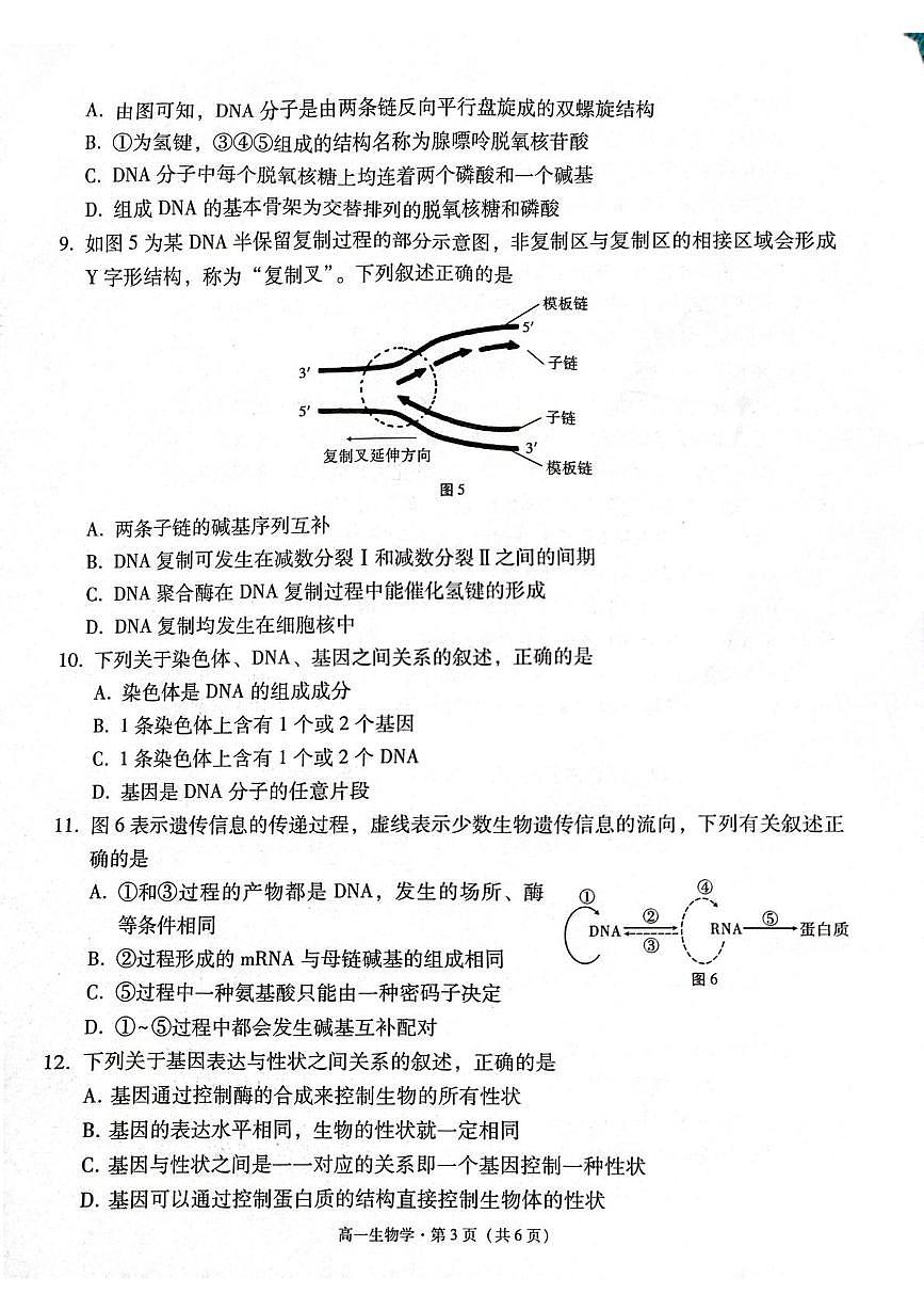 贵州省贵阳市七校2024-2025学年高一下学期5月月考生物试卷（PDF版附解析）第3页