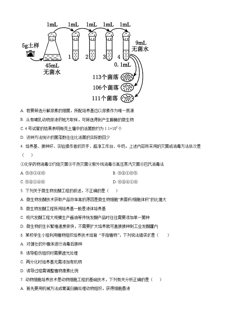北京市人大附中2024-2025学年高二下学期期中生物试卷（原卷版）第2页