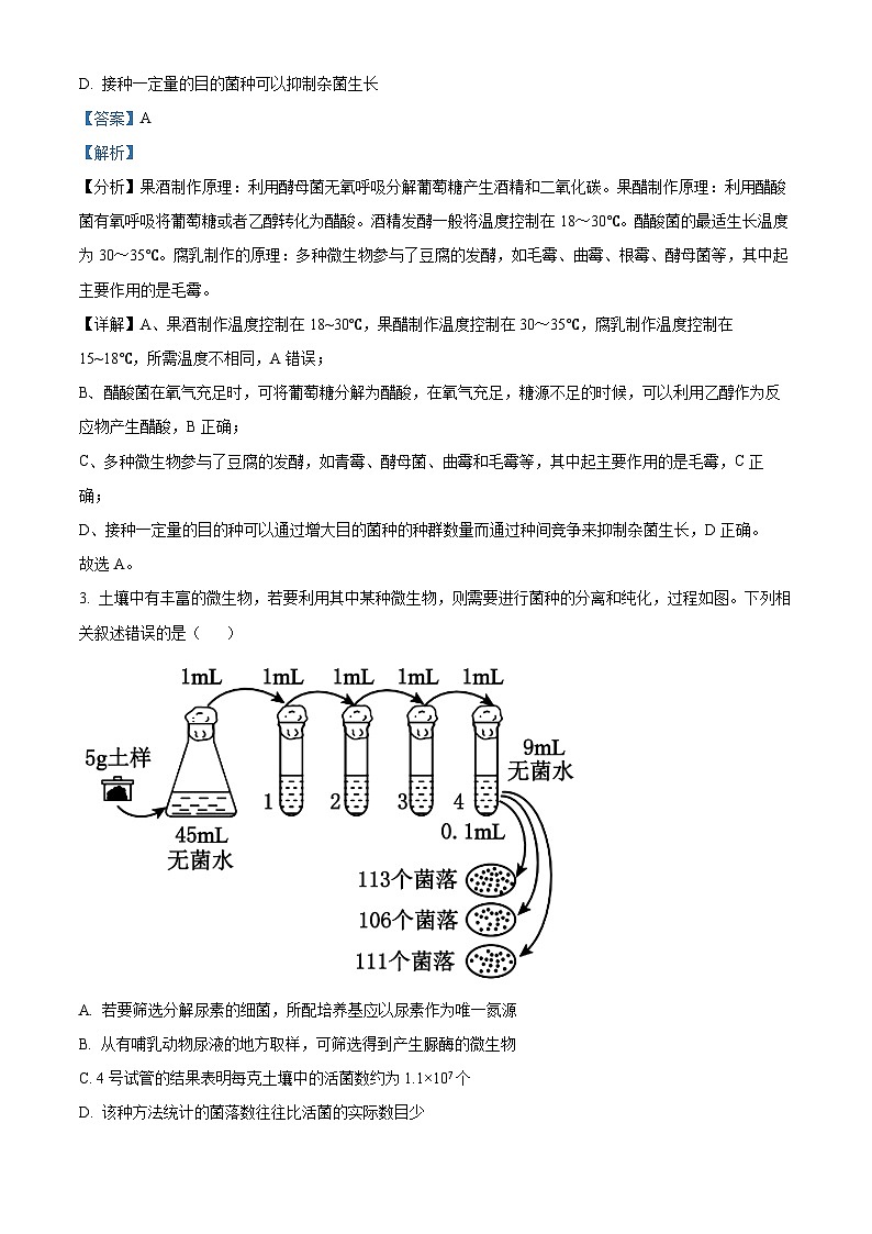 北京市人大附中2024-2025学年高二下学期期中生物试卷（解析版）第2页