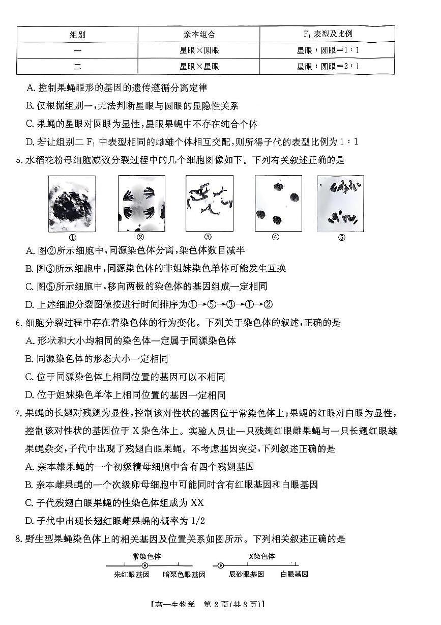 广东省佛山七校2024-2025学年高一下学期5月联考生物试题第2页