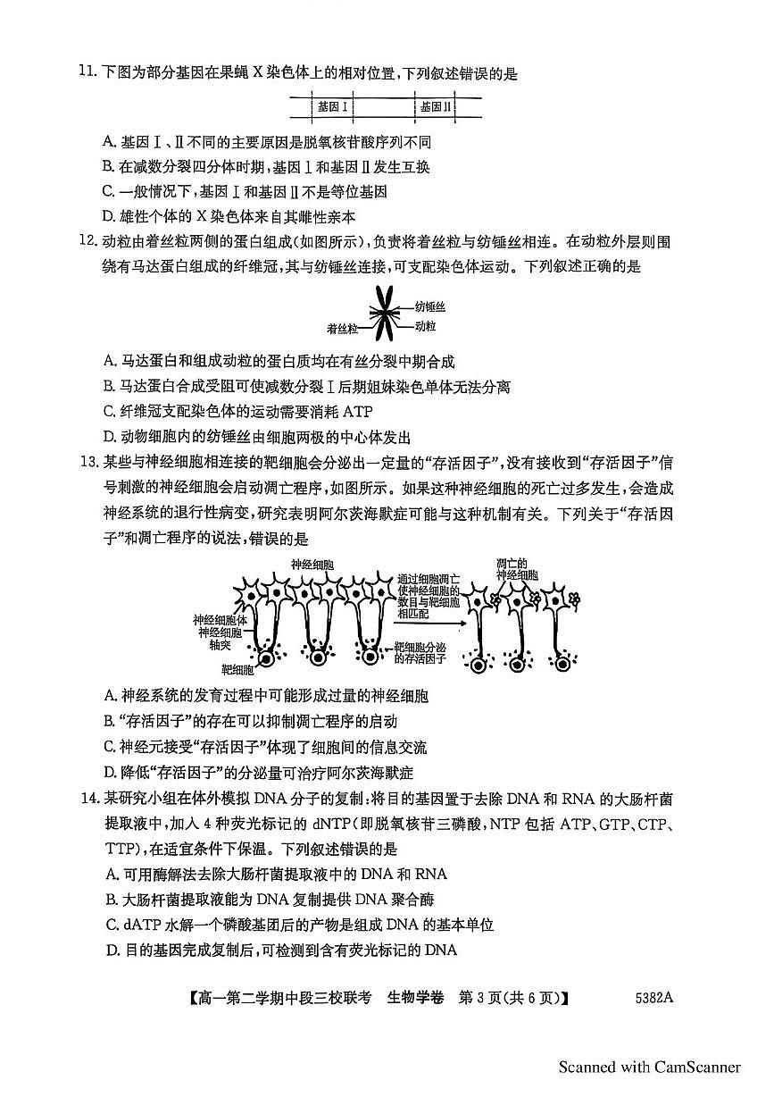 广东省清远市三校2024-2025学年高一下学期5月联考生物试题第3页