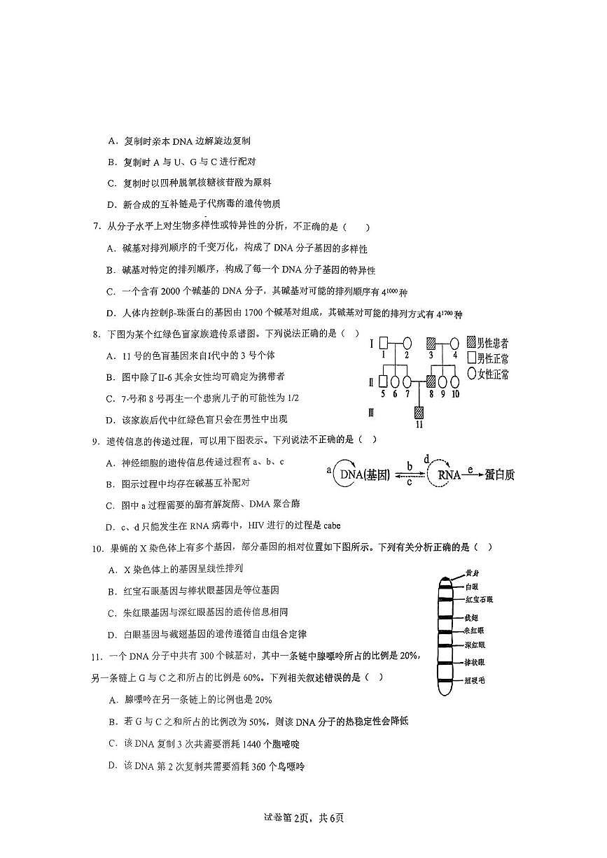 广东省汕尾市陆丰东海新龙中学2024-2025学年高一下学期第二次月考生物试卷第2页
