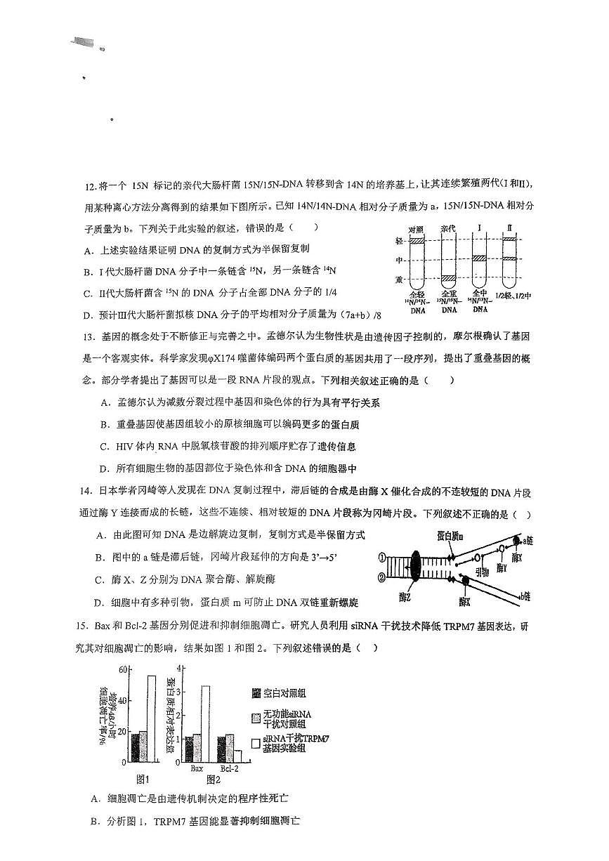 广东省汕尾市陆丰东海新龙中学2024-2025学年高一下学期第二次月考生物试卷第3页