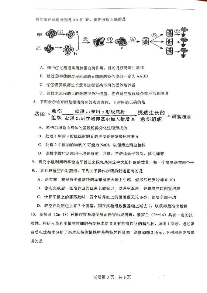 广东省汕头市潮阳区汕头市潮阳一中明光学校2024-2025学年高二下学期5月月考生物试题第3页